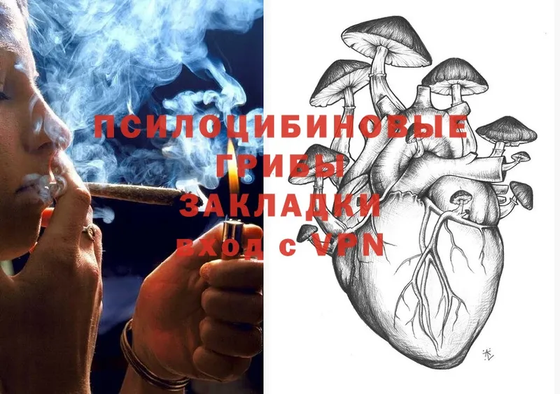 МЕГА зеркало  как найти наркотики  Струнино  Псилоцибиновые грибы Magic Shrooms 